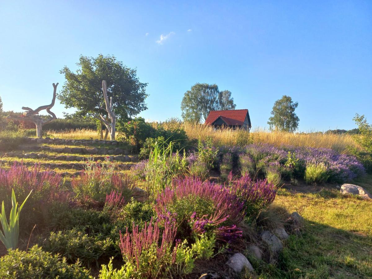 Dom Malarki Villa Mirosławiec Dış mekan fotoğraf
