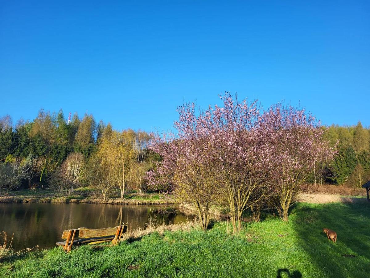 Dom Malarki Villa Mirosławiec Dış mekan fotoğraf