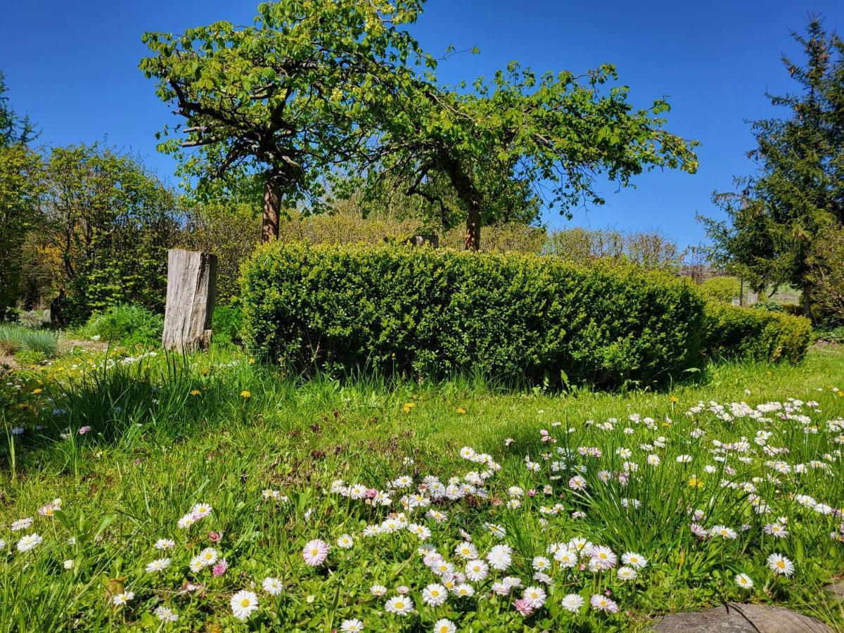 Dom Malarki Villa Mirosławiec Dış mekan fotoğraf