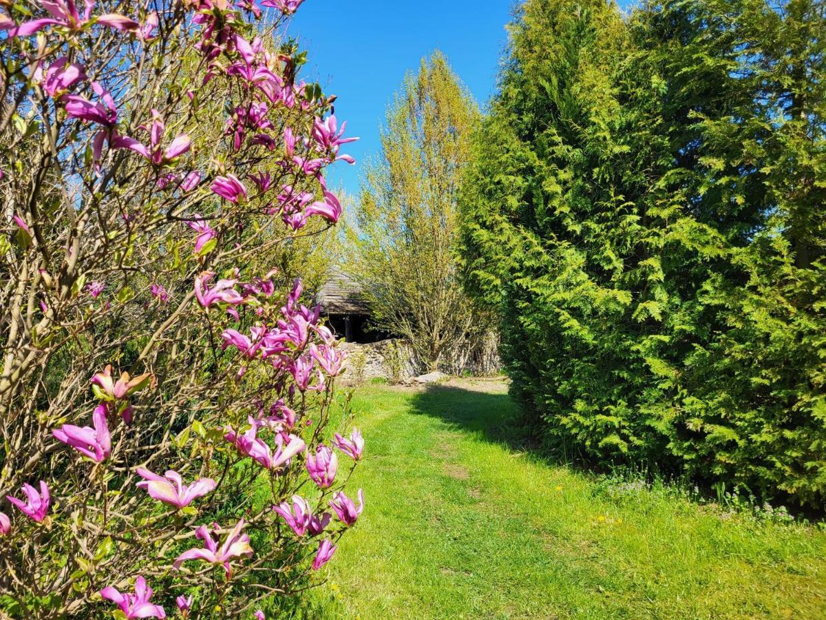 Dom Malarki Villa Mirosławiec Dış mekan fotoğraf