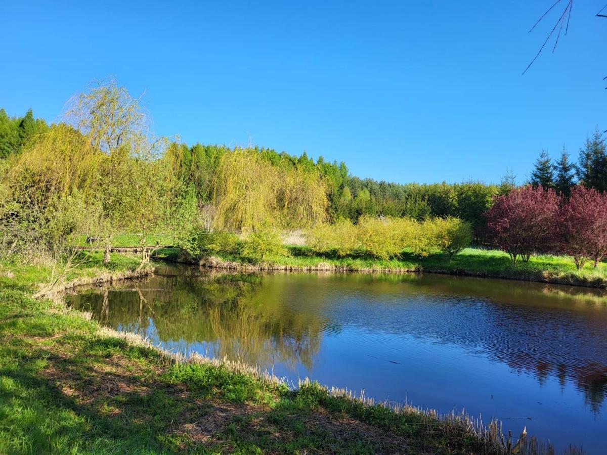 Dom Malarki Villa Mirosławiec Dış mekan fotoğraf